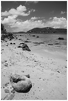 Coral rock and beach, Hassel Island. Virgin Islands National Park ( black and white)