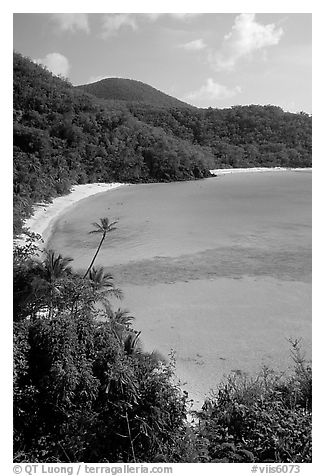 Tropical hills and beach, Hawksnest Bay. Virgin Islands National Park, US Virgin Islands.