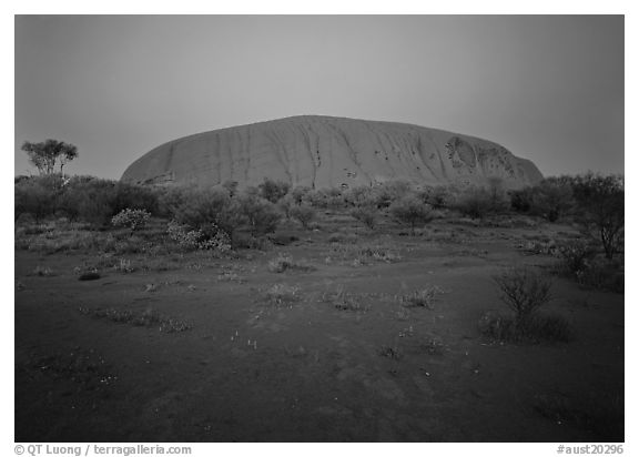 Ayers Rock at dawn. Australia (black and white)