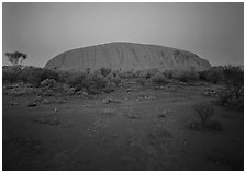 Ayers Rock at dawn. Australia ( black and white)