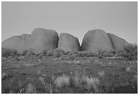 Olgas, dusk. Olgas, Uluru-Kata Tjuta National Park, Northern Territories, Australia (black and white)