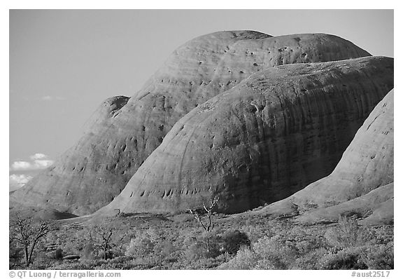 Olgas, sunset. Olgas, Uluru-Kata Tjuta National Park, Northern Territories, Australia (black and white)