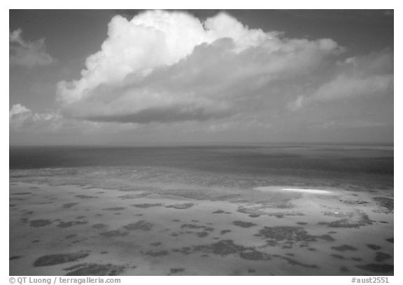 Aerial view of a reef near Cairns. The Great Barrier Reef, Queensland, Australia (black and white)