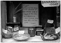 Self-serve local produce stand. Big Island, Hawaii, USA (black and white)