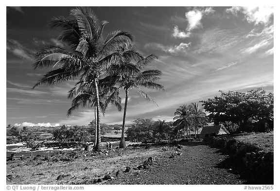 Lapakahi historical park. Big Island, Hawaii, USA (black and white)