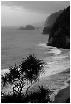 Untamed coast of the North shore from Polulu Valley overlook, dusk. Big Island, Hawaii, USA (black and white)