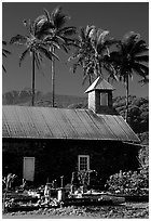 Church (1860) and palm trees, Keanae Peninsula. Maui, Hawaii, USA (black and white)