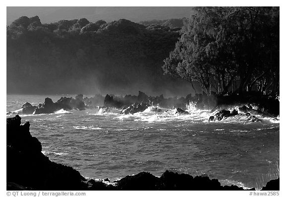 Crashing surf, Keanae Peninsula. Maui, Hawaii, USA