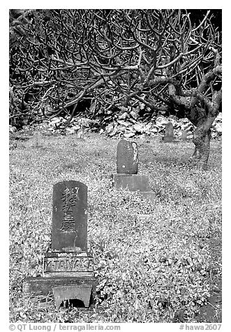 Historic Japanese cemetery in Hana. Maui, Hawaii, USA (black and white)