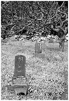 Historic Japanese cemetery in Hana. Maui, Hawaii, USA ( black and white)