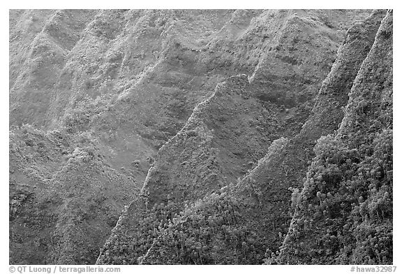 Steep ridges covered with tropical vegetation, Koolau Mountains. Oahu island, Hawaii, USA (black and white)