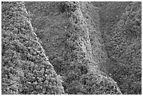 Steep ridges near Pali Highway, Koolau Mountains. Oahu island, Hawaii, USA (black and white)