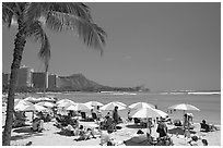 Sun shades on Waikiki Beach. Waikiki, Honolulu, Oahu island, Hawaii, USA ( black and white)