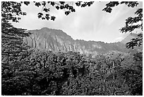 Tropical forest and  Koolau Mountains. Oahu island, Hawaii, USA (black and white)