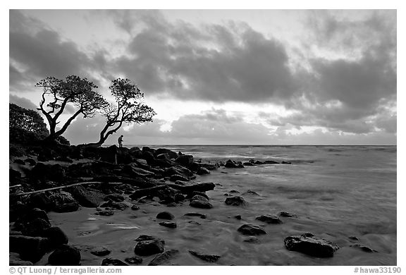 Fisherman, trees, and ocean, dawn. Kauai island, Hawaii, USA (black and white)