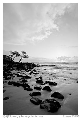 Windblown trees, boulders, and clouds, Lydgate Park, sunrise. Kauai island, Hawaii, USA (black and white)