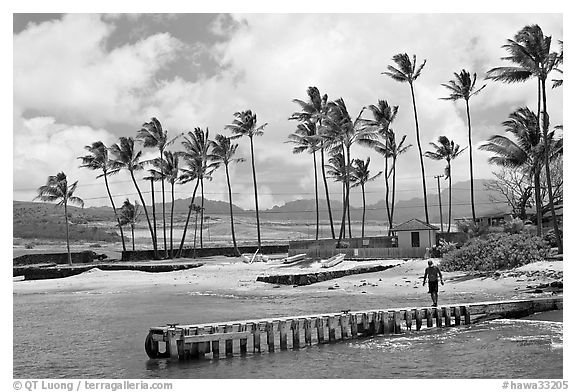 Pier, Kukuila harbor. Kauai island, Hawaii, USA (black and white)