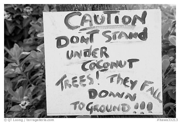Hand written sign cautioning against falling coconut. Kauai island, Hawaii, USA (black and white)