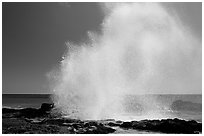 Stream of water shooting up from Spouting Horn. Kauai island, Hawaii, USA ( black and white)
