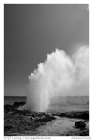 Stream of water shooting up from blowhole. Kauai island, Hawaii, USA (black and white)