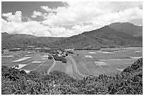 Hanalei Valley with patchwork taro fields,  mid-day. Kauai island, Hawaii, USA ( black and white)