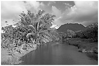 River near Hanalei. North shore, Kauai island, Hawaii, USA (black and white)