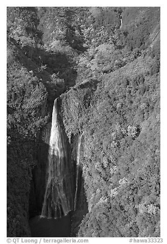 Aerial view of the Manawaiopuna falls (nicknamed Jurassic falls since featured in the movie). Kauai island, Hawaii, USA