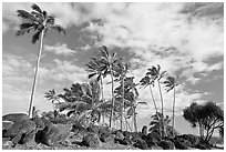 Rocks from a Heiau at the mounth of the Waiula River. Kauai island, Hawaii, USA ( black and white)