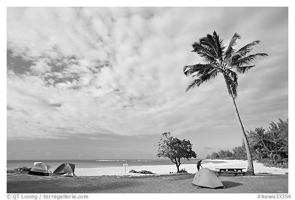 Tents and palm trees, Haena beach park. North shore, Kauai island, Hawaii, USA (black and white)