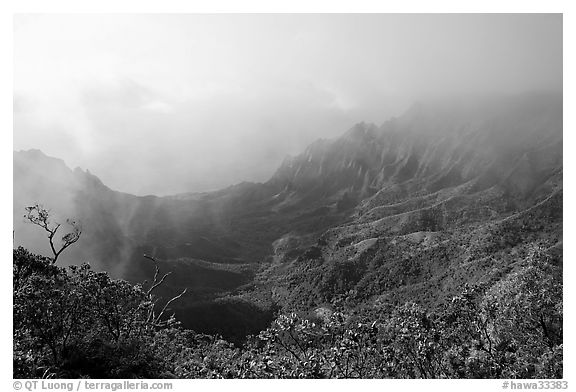 Kalalau Valley and mist, late afternoon. Kauai island, Hawaii, USA (black and white)