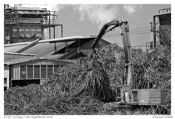 Sugar cane mill. Kauai island, Hawaii, USA (black and white)