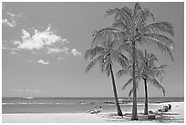 Couple on beach chair, and coconut trees,  Salt Pond Beach, mid-day. Kauai island, Hawaii, USA ( black and white)