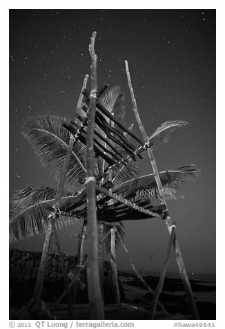 Altar and palm tree at night, Kaloko-Honokohau National Historical Park. Big Island, Hawaii, USA (black and white)