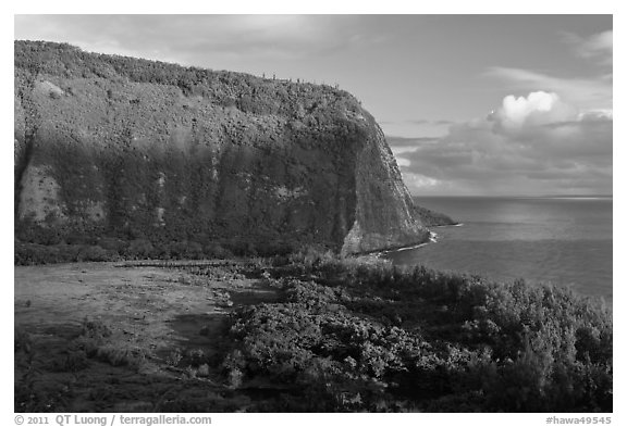 Steep valley walls, Waipio Valley. Big Island, Hawaii, USA (black and white)