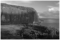 Steep valley walls, Waipio Valley. Big Island, Hawaii, USA (black and white)