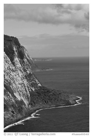 Cliffs near Waipio Valley. Big Island, Hawaii, USA (black and white)