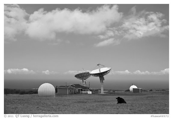 South Point satellite station. Big Island, Hawaii, USA (black and white)
