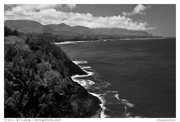 Coastline from Kilauea Point. Kauai island, Hawaii, USA (black and white)