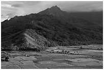 Taro paddy fields and mountains, Hanalei Valley. Kauai island, Hawaii, USA ( black and white)