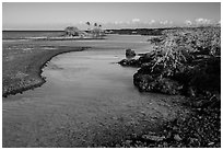 Clear water in channel, Kiholo Bay. Big Island, Hawaii, USA (black and white)