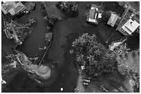 Aerial view of Champagne Ponds area looking down. Big Island, Hawaii, USA ( black and white)