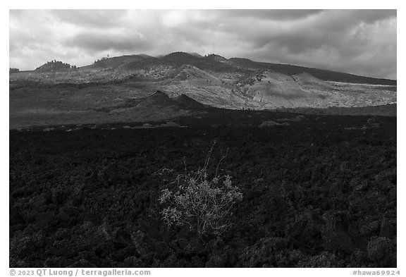 Lava fields, Ahihi-Kinau Natural Area Reserve with Haleakala in background. Maui, Hawaii, USA (black and white)
