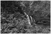 Waterfall along Hana Highway. Maui, Hawaii, USA ( black and white)