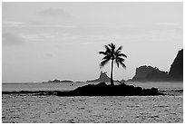 Lone coconut tree on a islet in Leone Bay, sunset. Tutuila, American Samoa (black and white)