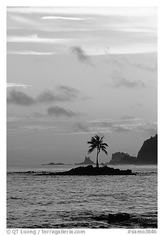 Coconut tree on islet, Leone Bay, sunset. Tutuila, American Samoa (black and white)