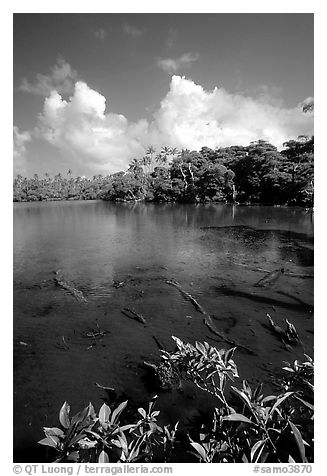 Pala quicksand lake. Aunuu Island, American Samoa (black and white)