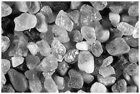 Pictures of California Sand Grains