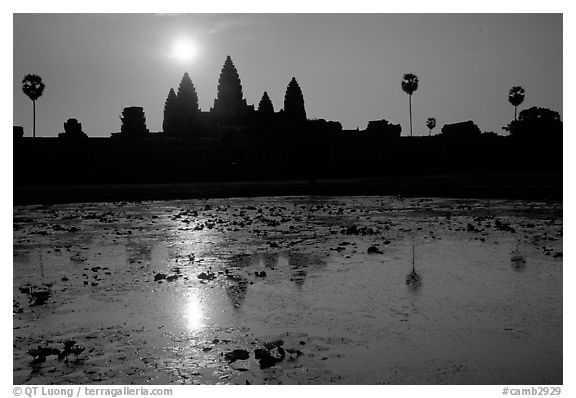 Angkor Wat reflected in pond at sunrise. Angkor, Cambodia (black and white)