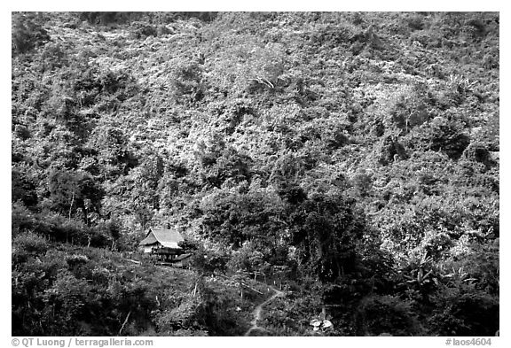 Hillside village in luxuriant jungle. Mekong river, Laos (black and white)