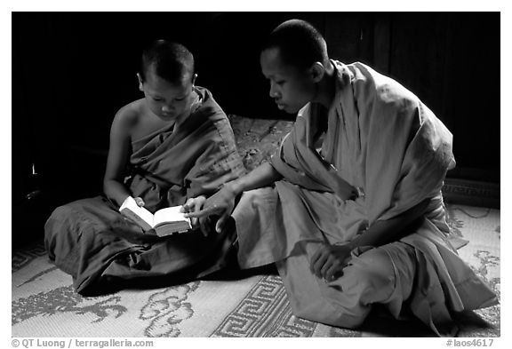 Buddhist novice monks reading. Luang Prabang, Laos